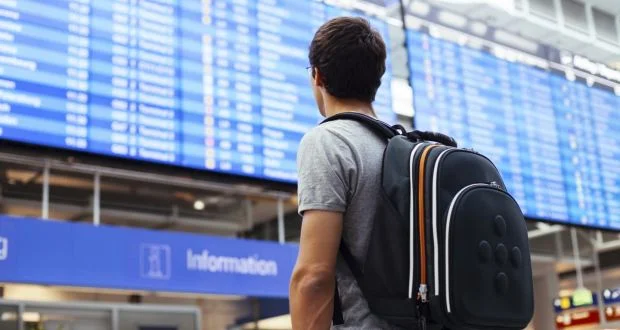 Essential Things to Know About the Co-Op Work Permit
