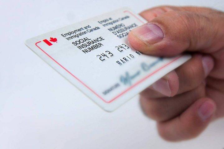 what-is-a-social-insurance-number-sin-in-canada-work-study-visa