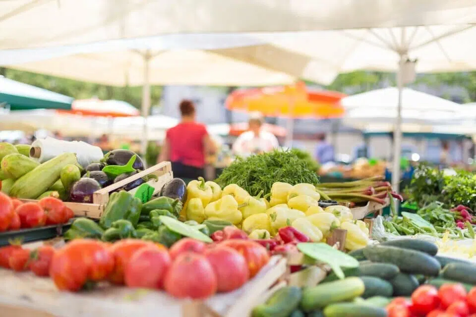 Agri-Food Immigration Pilot Program