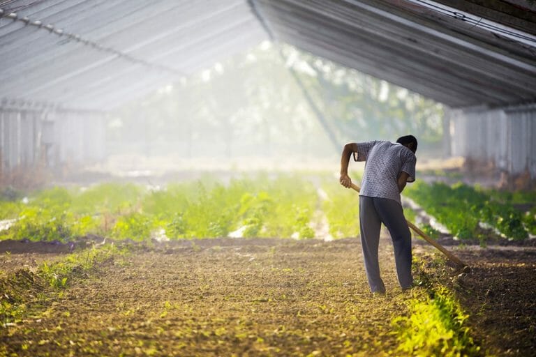 Canada Make Changes To Temporary Foreign Worker Regulations