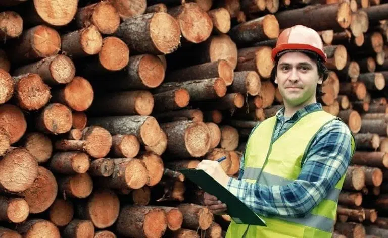 Best 20 Jobs in New Brunswick for Canadian Residents