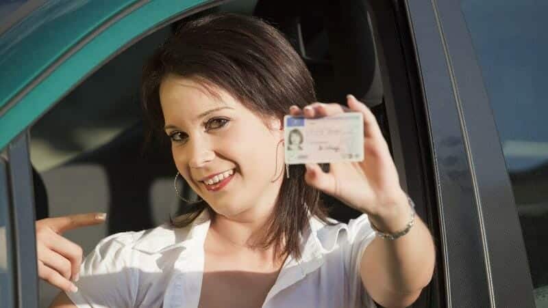 New Brunswick drivers licence