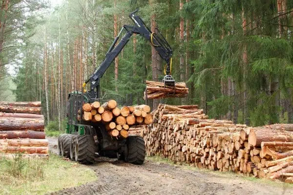 Immigrate to Canada as a Logging and Forestry Labourer