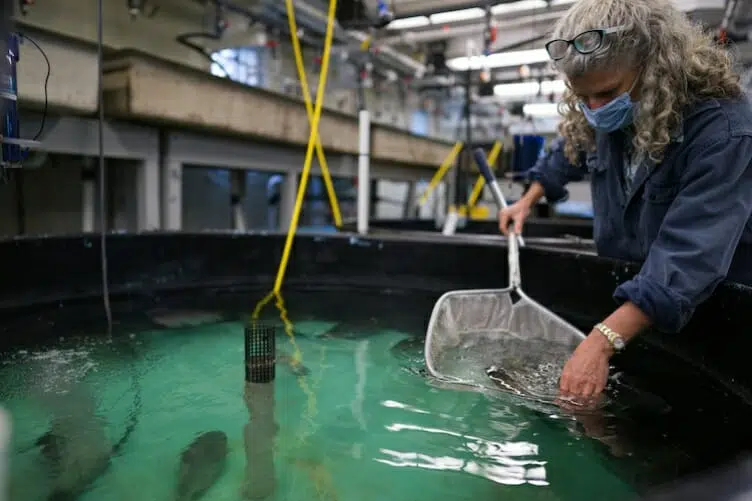 Immigrate to Canada as a Manager in Aquaculture