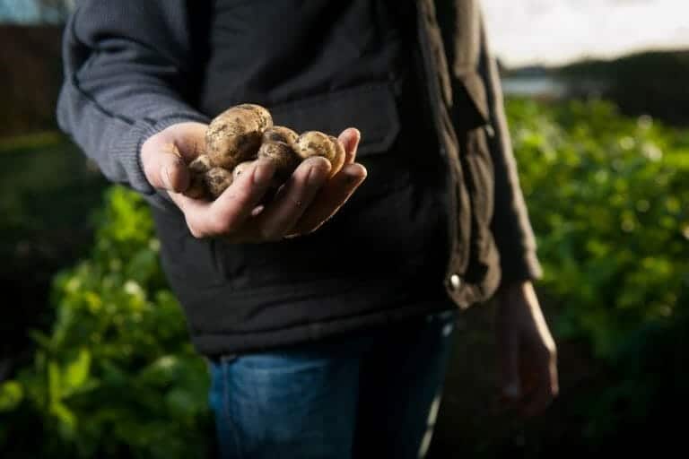 American H2A Visa Guide for Temporary Farm Workers