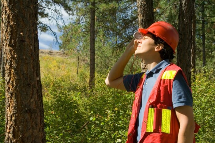 Best Forestry jobs in Canada