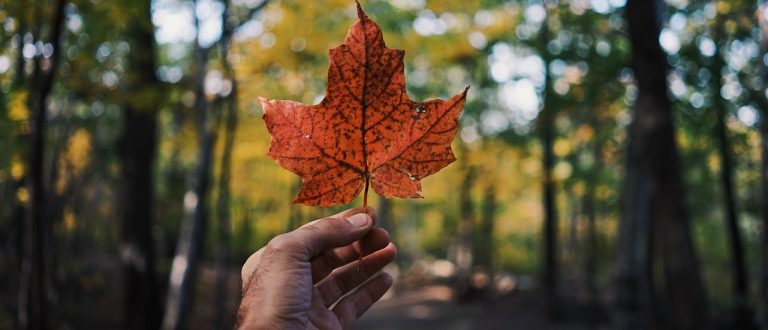 Immigrate to Canada from Sierra Leone – How to Apply
