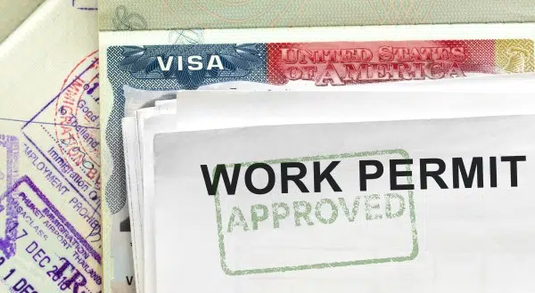 Ecuador Work Visa – Requirements, Documentation and Fees
