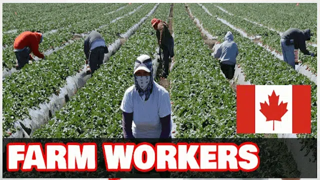 Farm Worker Jobs In Canada For Foreigners In 2023 Work In, 55% OFF