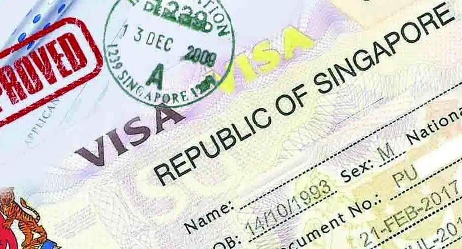 How To Apply For A Singapore Visa Work Study Visa   How To Apply For Singapore Visa 